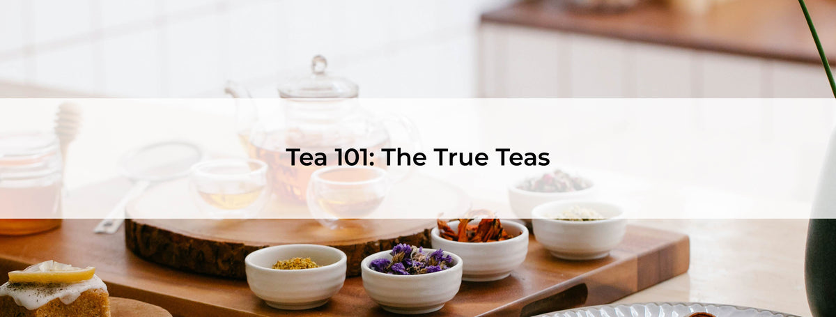 Condor Tea 101 Tea 101: The True Teas – Chai Society